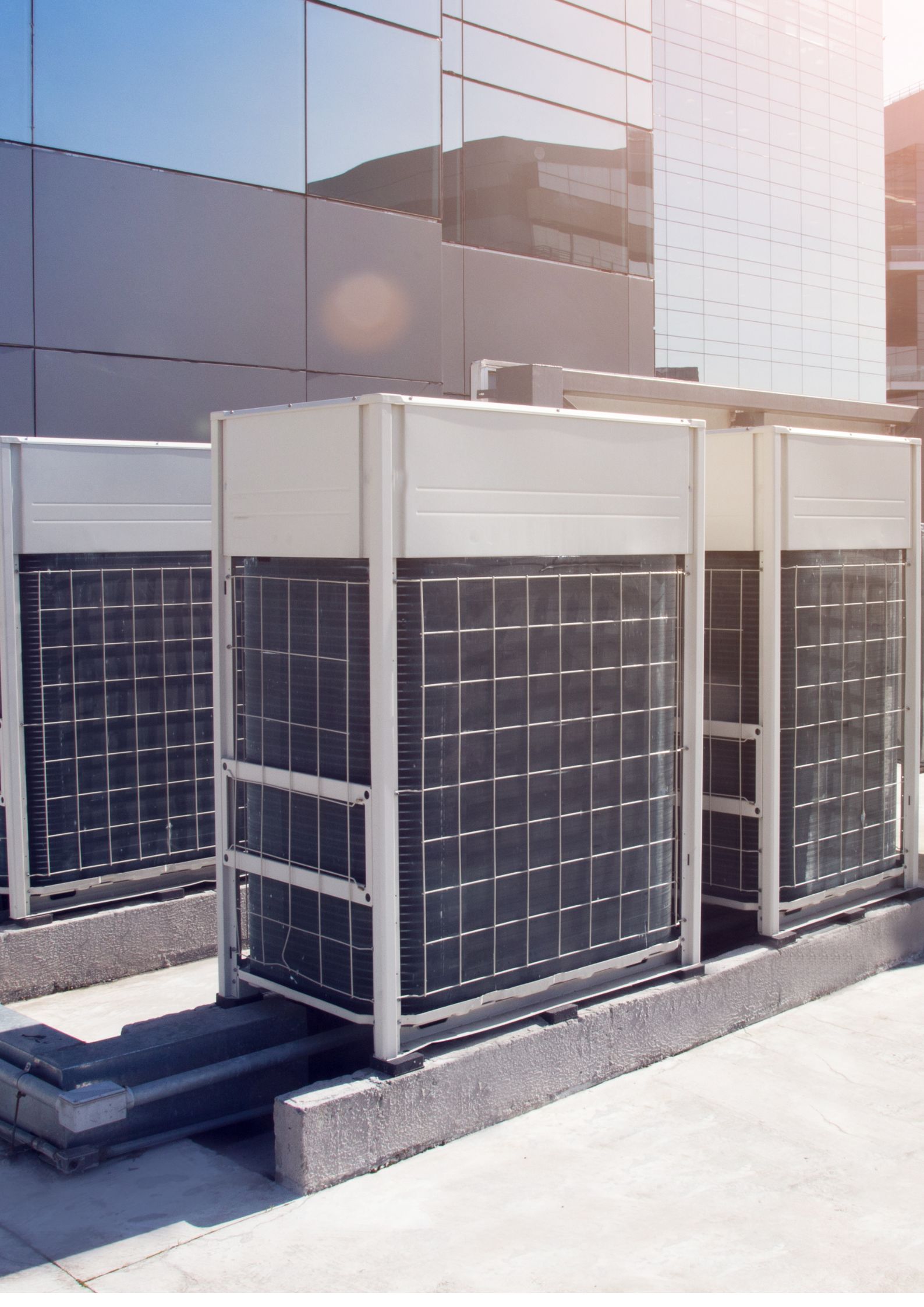 Design sem nome (14).jpg